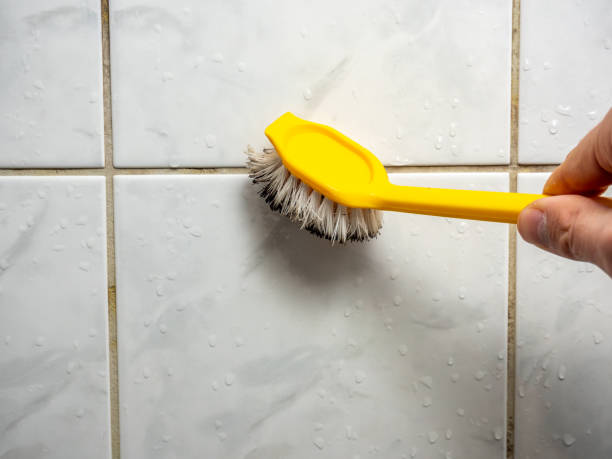 Best Mold Testing and Inspection Services in Cutlerville, MI