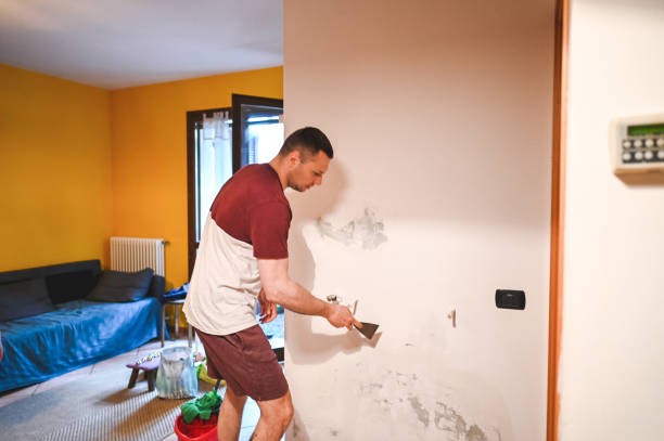 Best Basement Mold Remediation in Cutlerville, MI